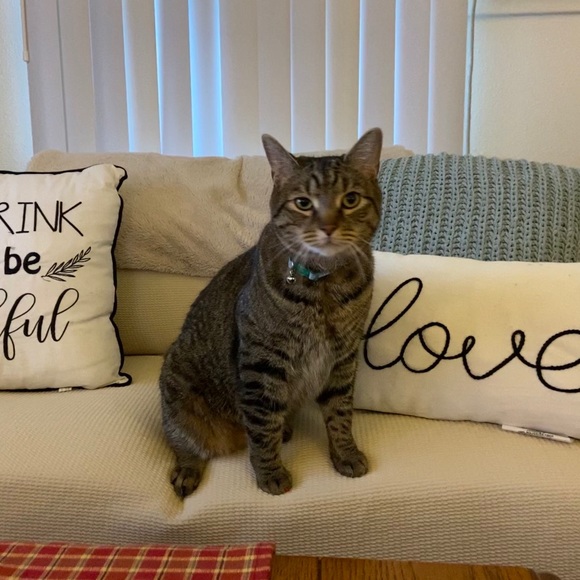 Meet your Posher, Maranda - Picture 2 of 5